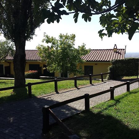 הוילה אריצ'ה Agriturismo La Vite E Gli Ulivi מראה חיצוני תמונה
