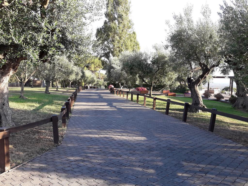 הוילה אריצ'ה Agriturismo La Vite E Gli Ulivi מראה חיצוני תמונה
