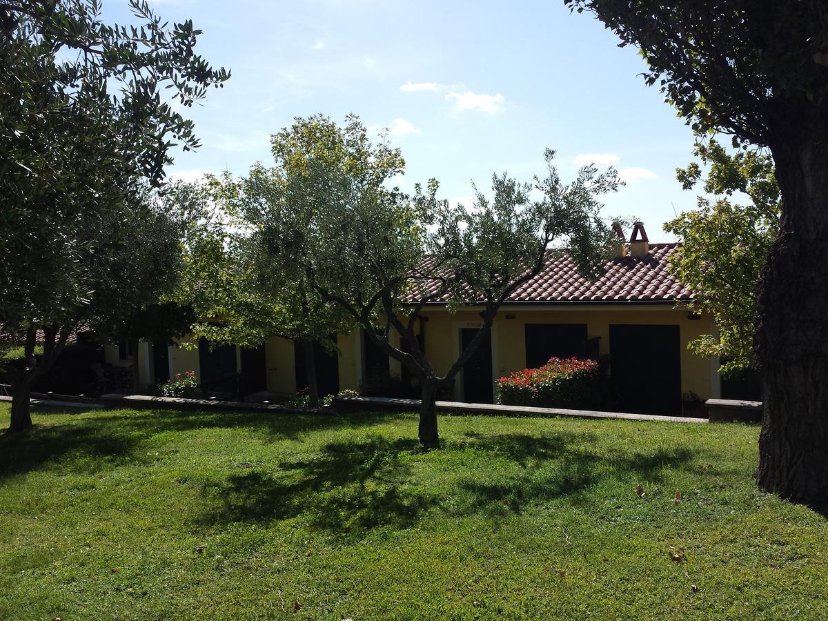 הוילה אריצ'ה Agriturismo La Vite E Gli Ulivi מראה חיצוני תמונה