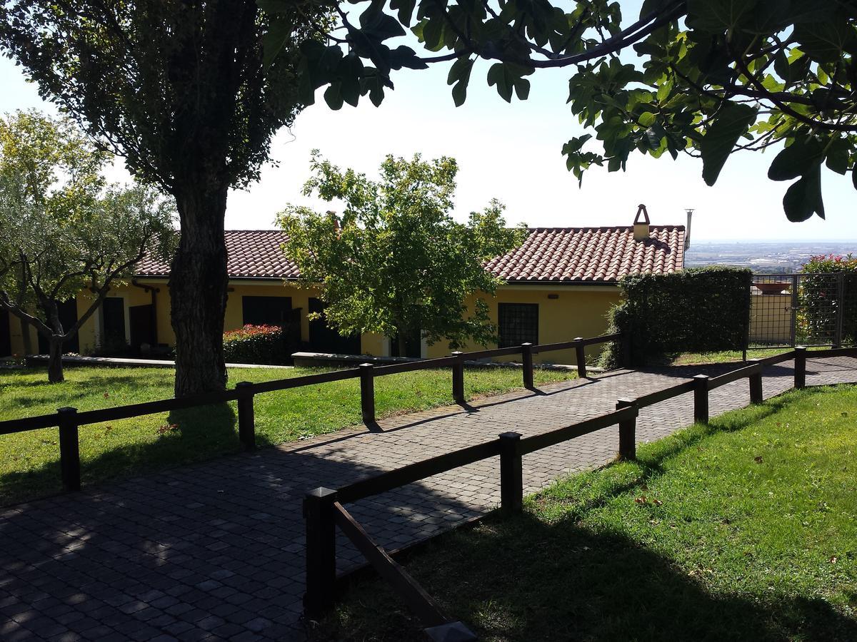 הוילה אריצ'ה Agriturismo La Vite E Gli Ulivi מראה חיצוני תמונה